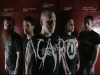 Interview with ACARO